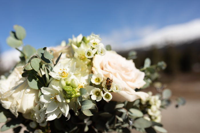 Banff Bridal Portrait